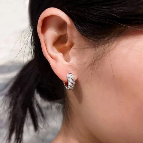Hoop Moissanite Shine Earrings